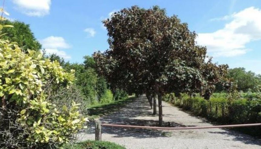 Arboretum de Neuville-de-Poitou, Neuville-de-Poitou, France, France